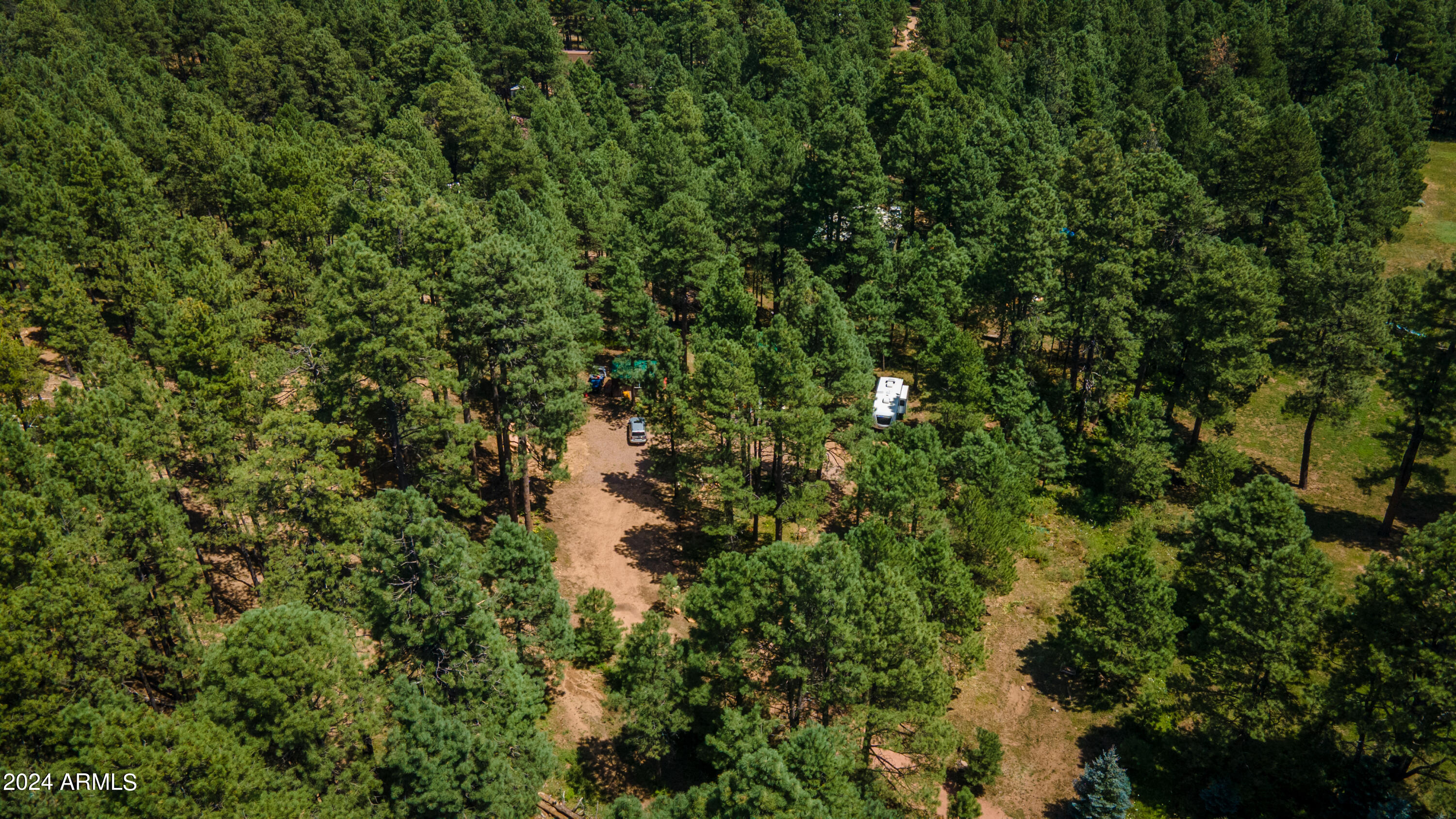 1225 Highway Loop Forest Lakes, AZ 85931 - Photo 43 of 45 a view of a forest with a tree