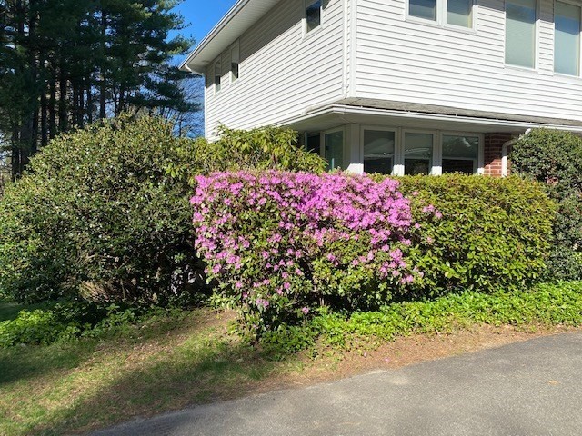 61 Arnold Road Amherst, MA 01002 - Photo 38 of 40