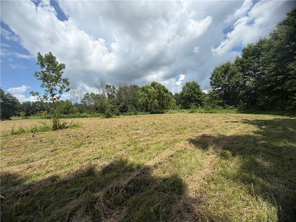 Tbd Campbell Road Knob Noster, MO 65336 - Photo 49 of 88 Gallery Image 49