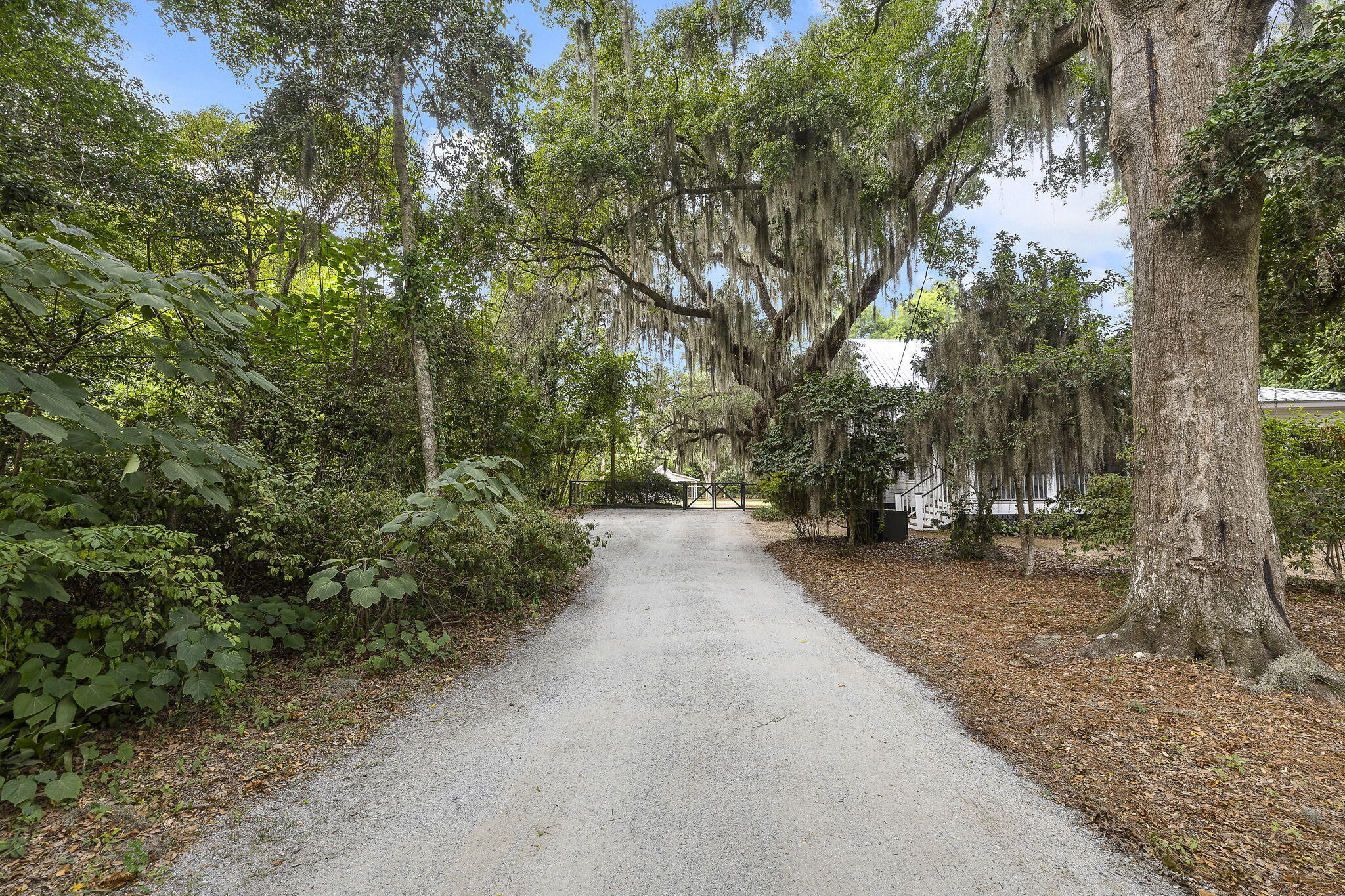 2518 Grace Chapel Road Wadmalaw Island, SC 29487 - Photo 38 of 40 Grace Chapel Road