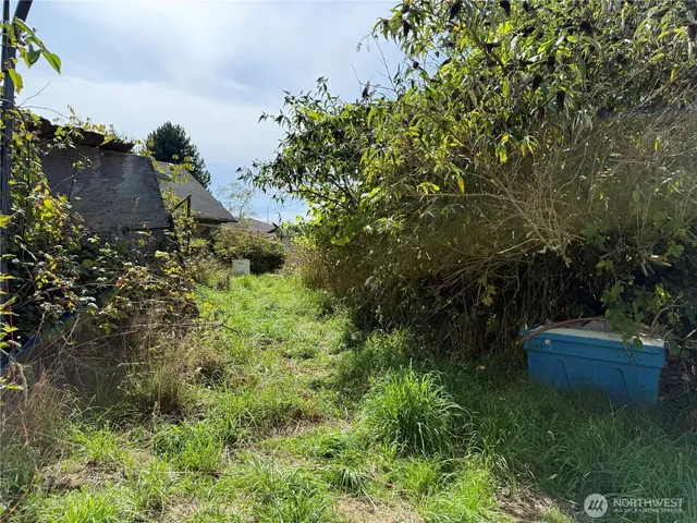 a backyard of a house with lots of green space