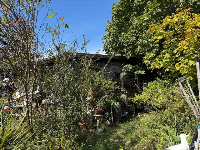 a view of bushes and tree