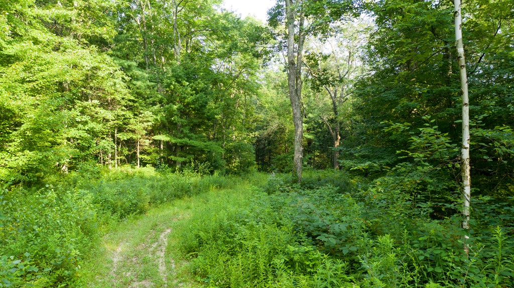 Lot 1 Old Gilbertville Road Ware, MA 01082 - Photo 1 of 11 Gallery Image 1