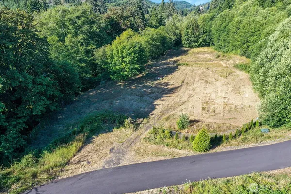 a view of a yard with potted plants