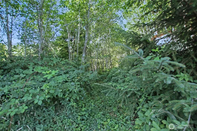 a view of a wooden fence