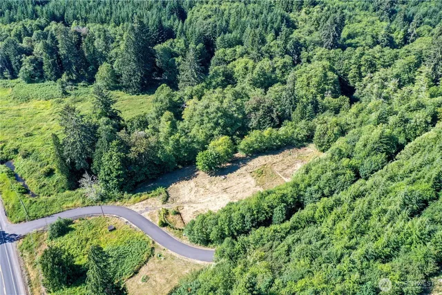 an aerial view of residential house with outdoor space and trees all around