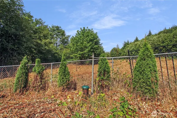a view of a open area with green trees