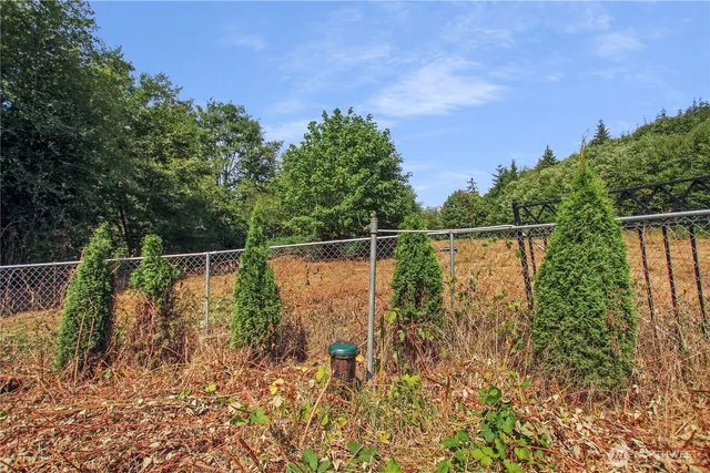 a view of a open area with green trees