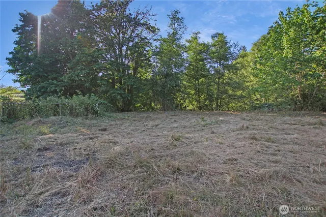 a view of a field with trees in the background