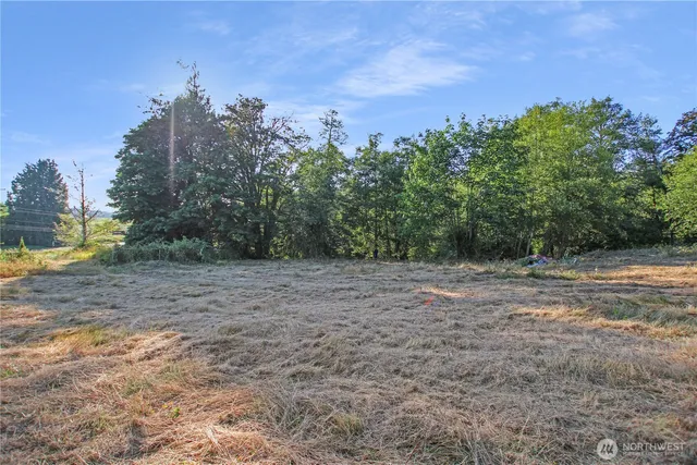 a view of a lake from a yard