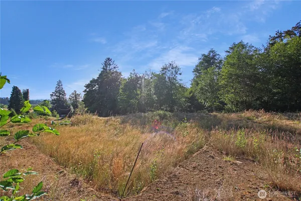 a view of a field with trees in the background