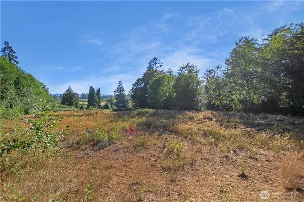 a view of a field with plants and trees