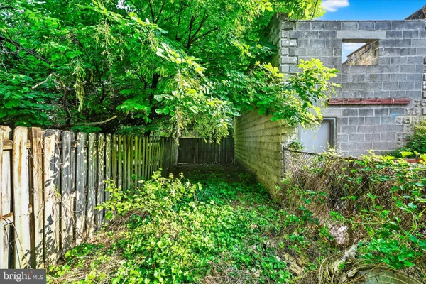a view of a garden with plants