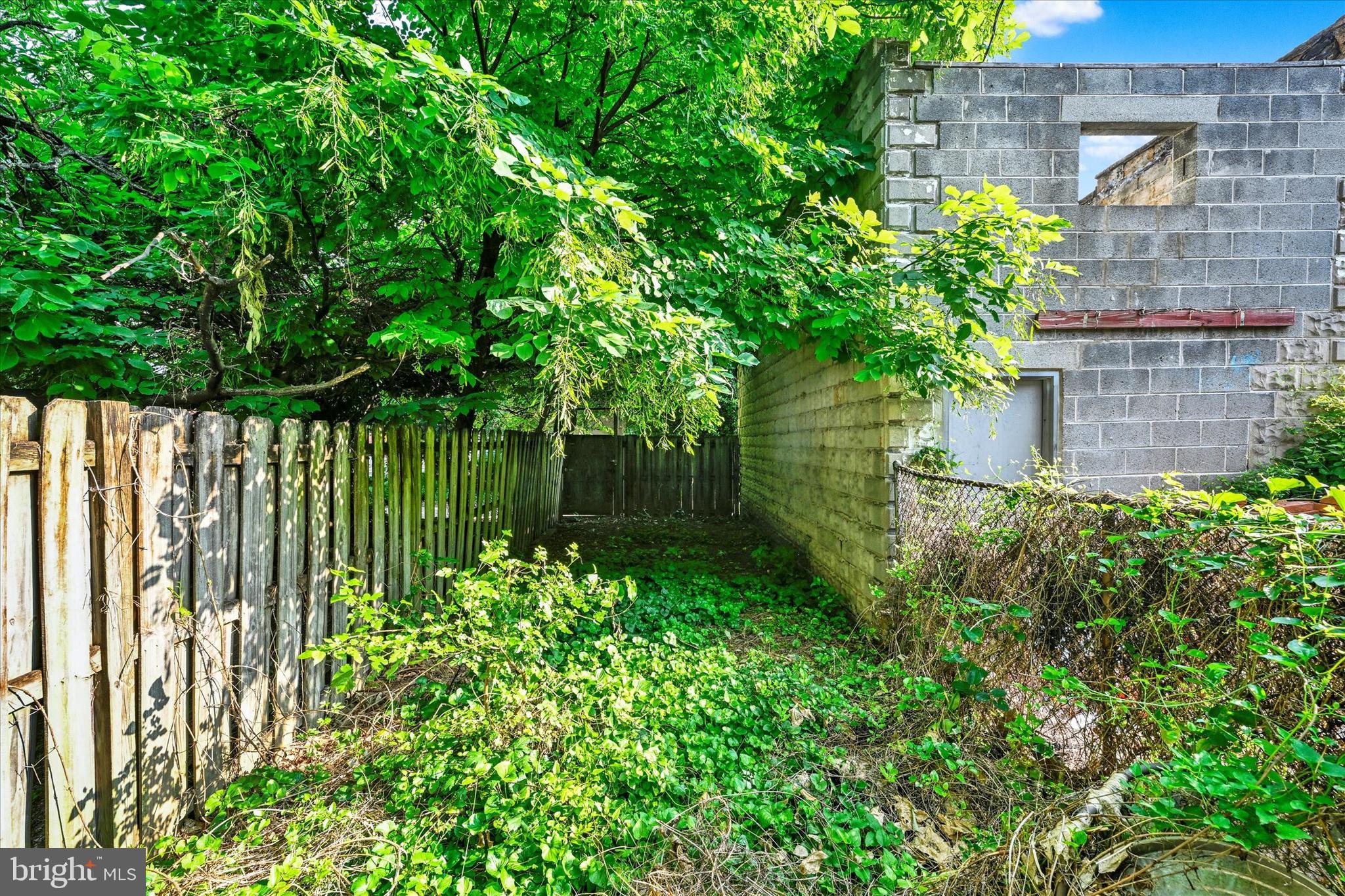 1220 West Pratt Street Baltimore, MD 21223 - Photo 12 of 14 a view of a garden with plants