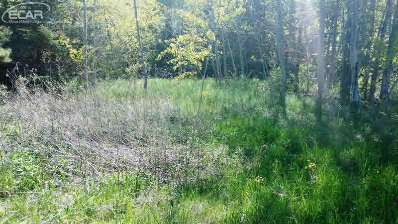 10176 Milliman Road Millington, MI 48746 - Photo 7 of 9