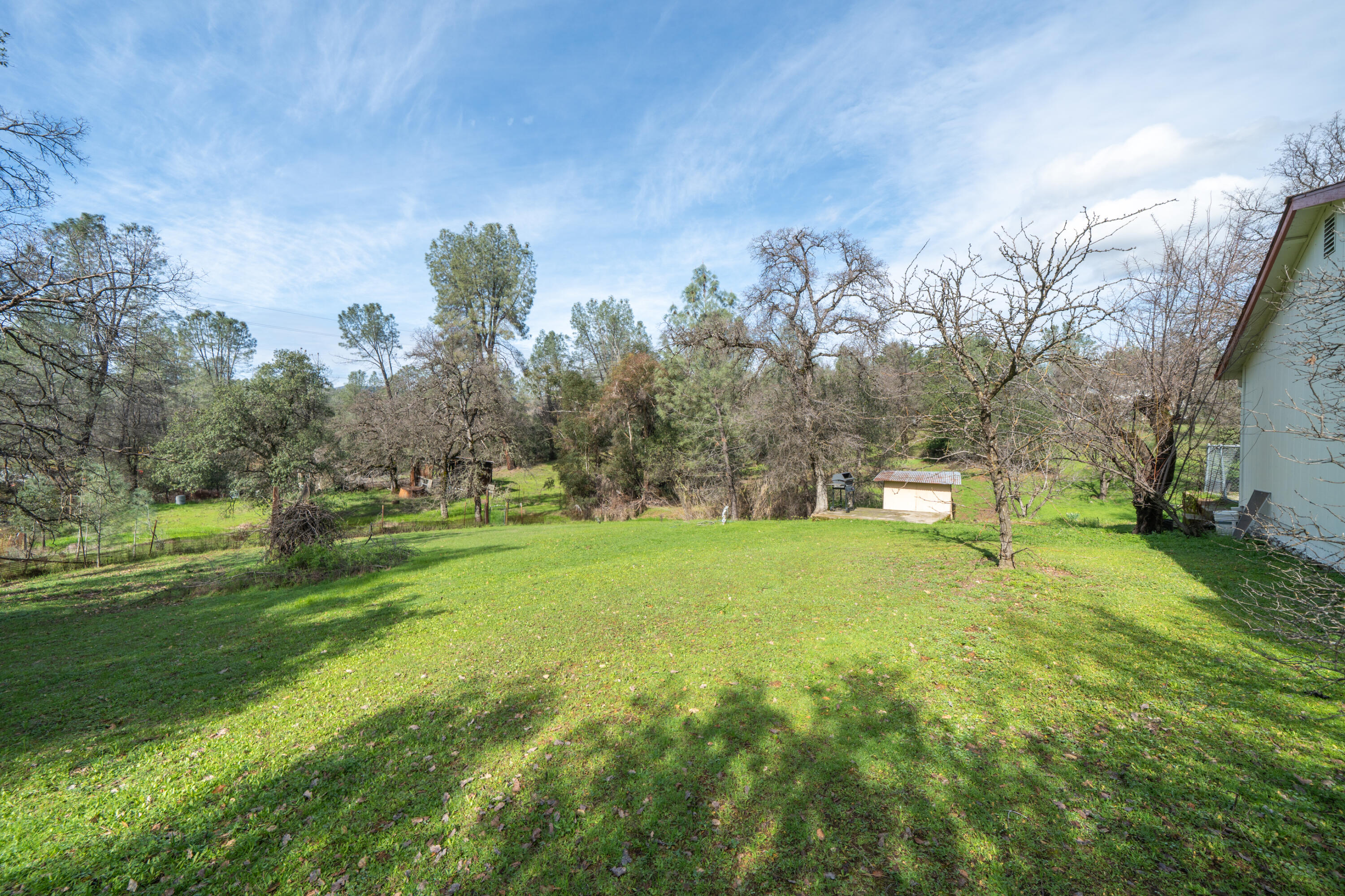 2580 Keswick Dam Road Redding, CA 96003 - Photo 43 of 60 a view of a field with of trees