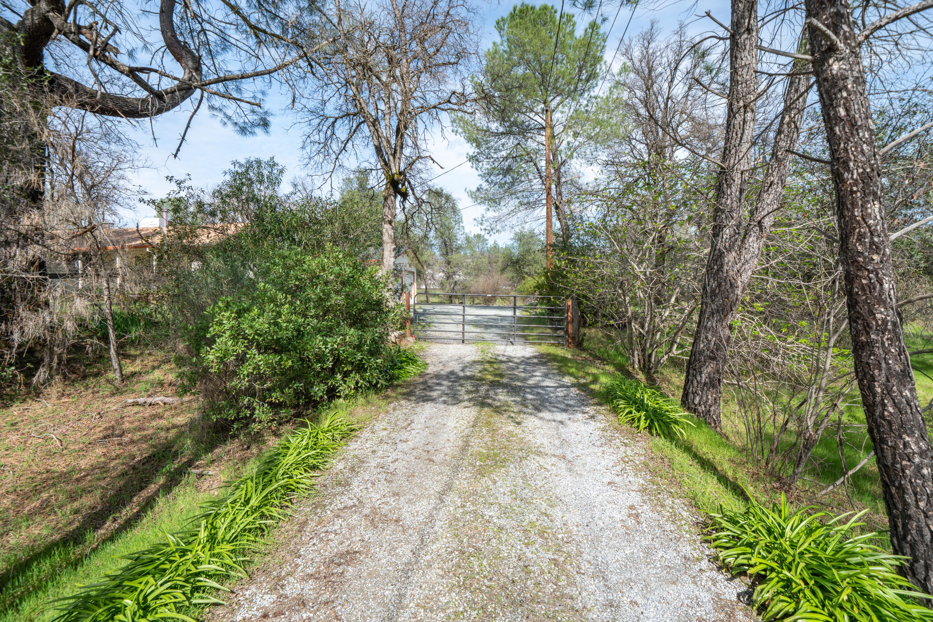 2580 Keswick Dam Road Redding, CA 96003 - Photo 44 of 60 a pathway of a yard