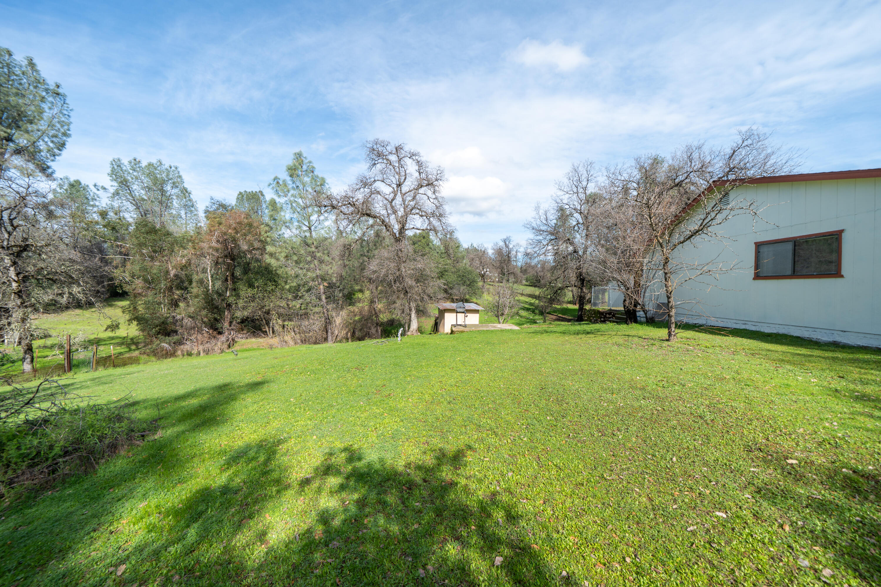 2580 Keswick Dam Road Redding, CA 96003 - Photo 45 of 60 a view of a backyard with large trees