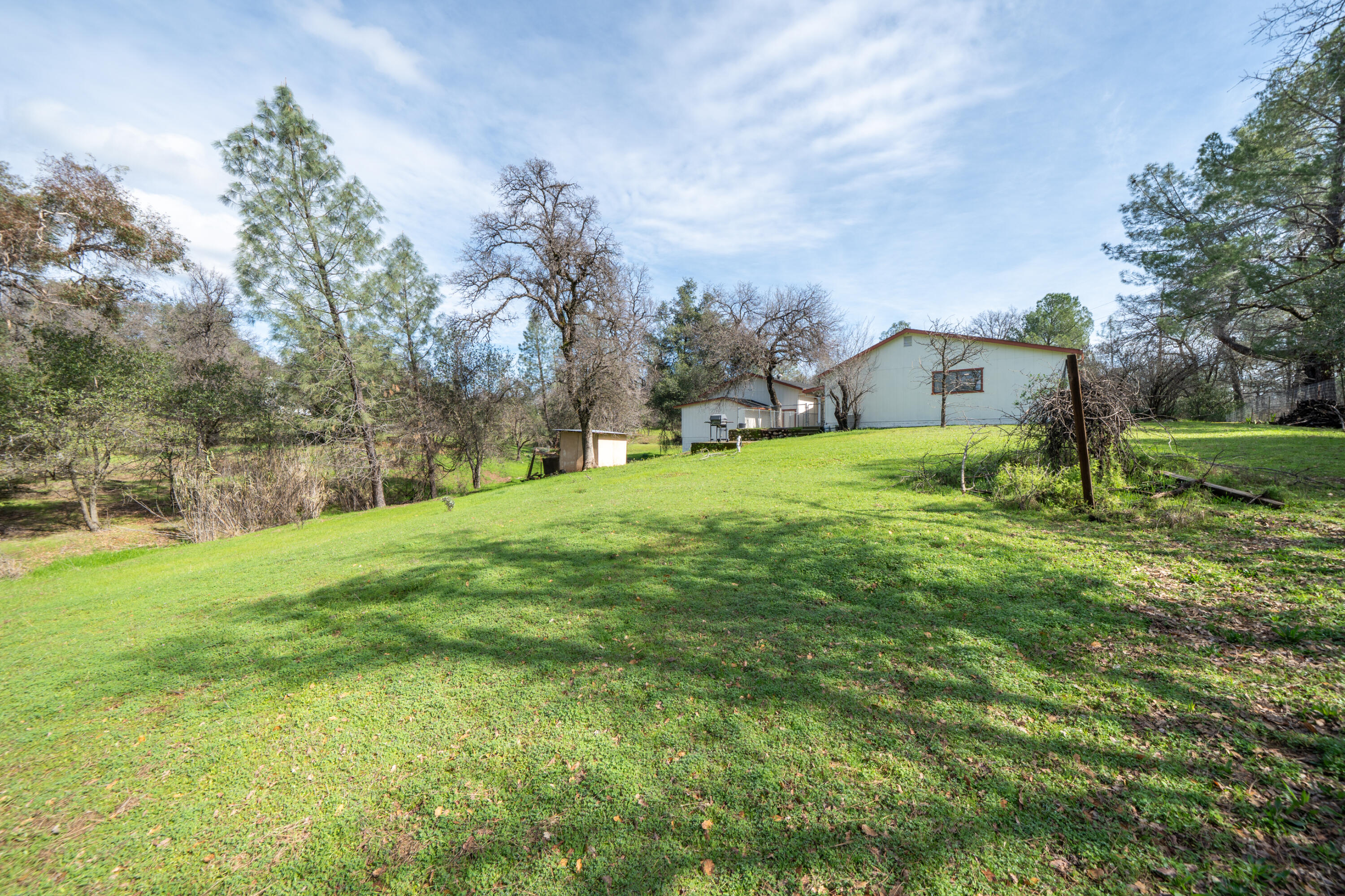 2580 Keswick Dam Road Redding, CA 96003 - Photo 46 of 60 a view of a big yard with plants and a large tree