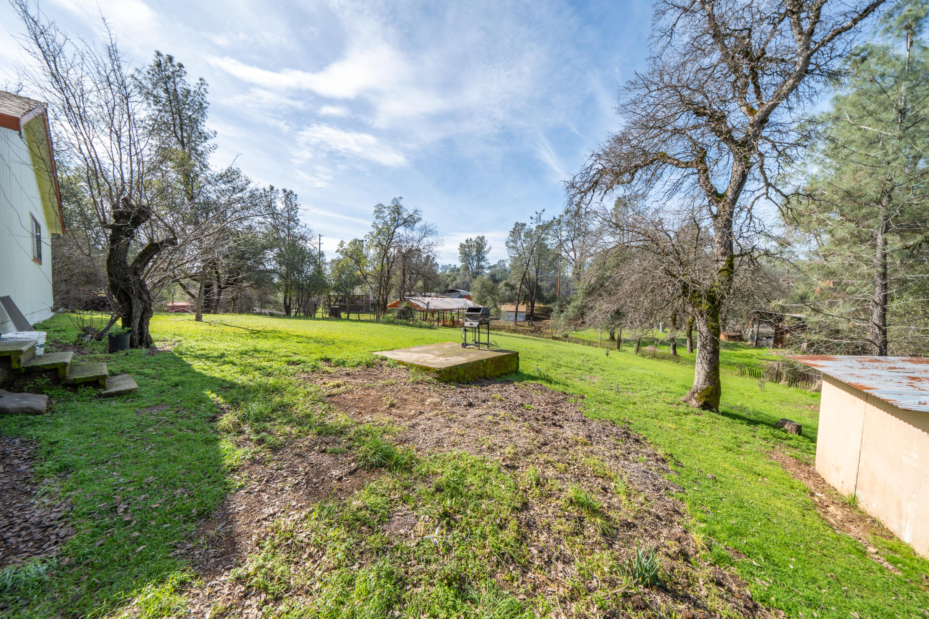 2580 Keswick Dam Road Redding, CA 96003 - Photo 49 of 60 a view of a park with large trees