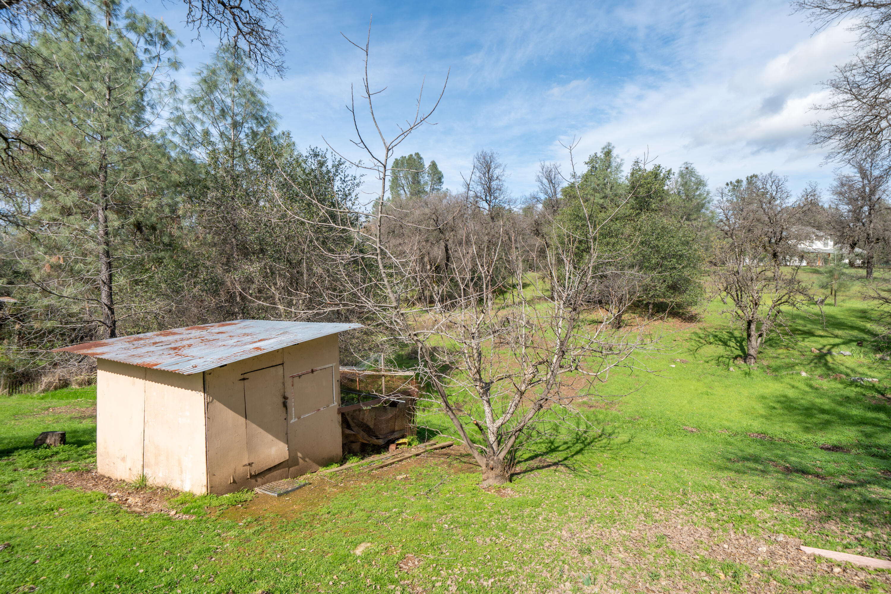 2580 Keswick Dam Road Redding, CA 96003 - Photo 51 of 60 a view of a backyard