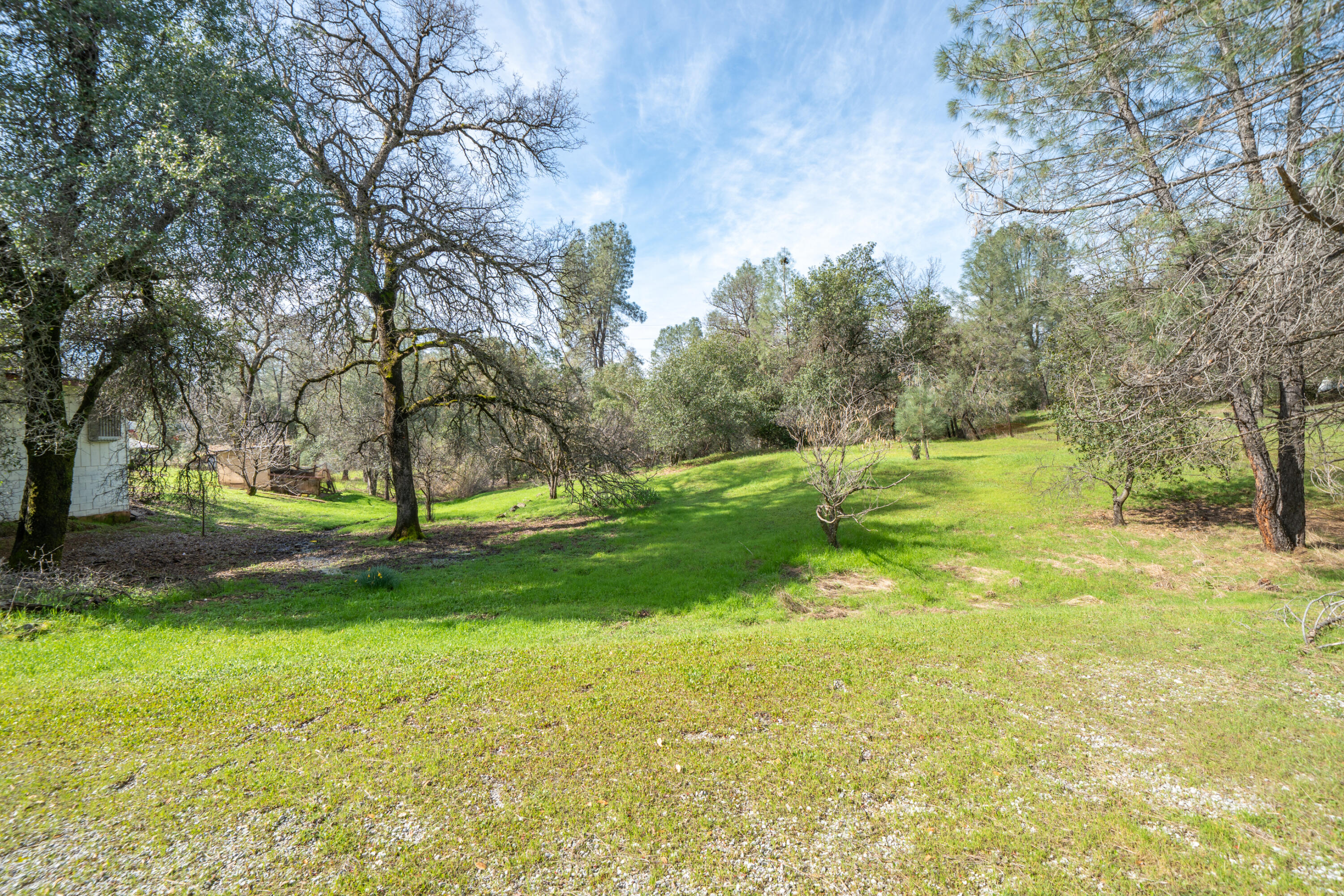 2580 Keswick Dam Road Redding, CA 96003 - Photo 55 of 60 a view of a trees with a backyard