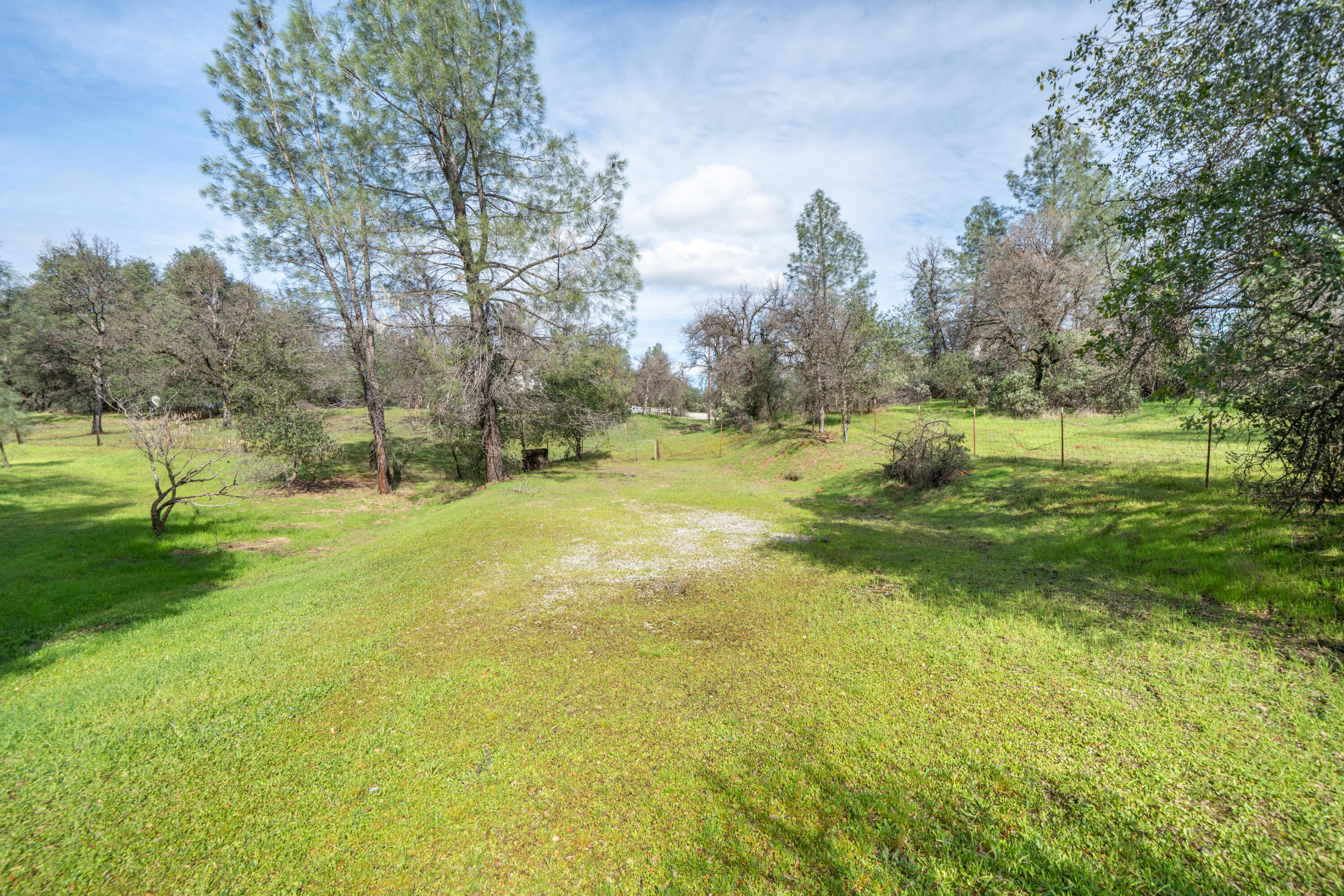 2580 Keswick Dam Road Redding, CA 96003 - Photo 56 of 60 a view of yard with trees