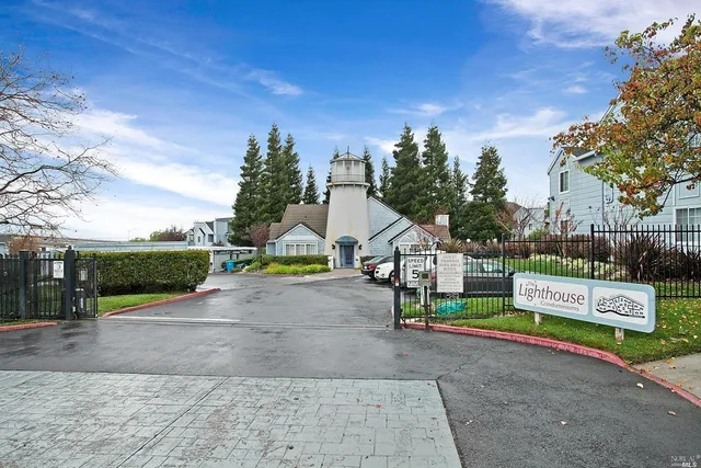a view of a park with plants and large trees