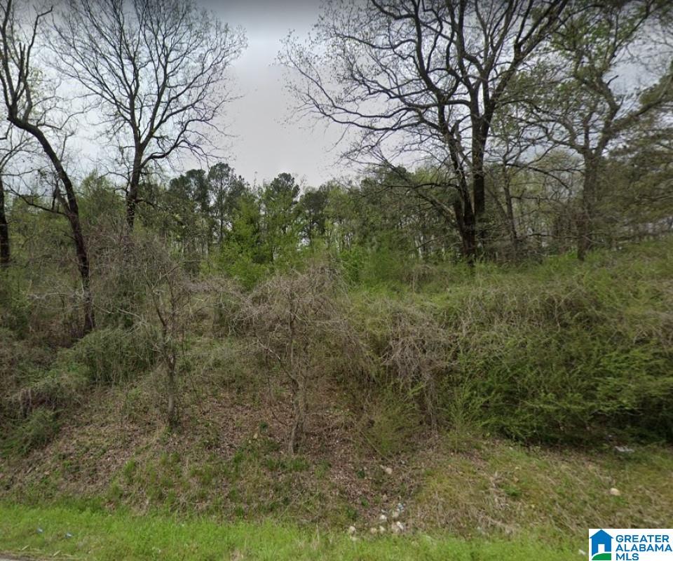 5732 Walnut Grove Road Birmingham, AL 35215 - Photo 2 of 6