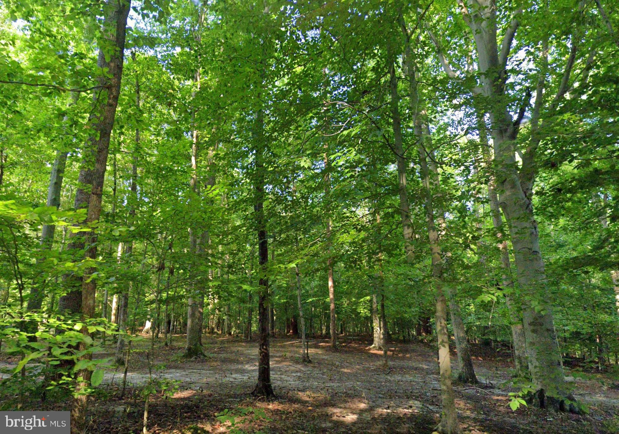 131 Brick Church Road Davidsonville, MD 21035 - Photo 2 of 3 a view of backyard with green space