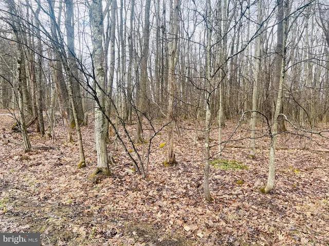 $51,000 | Bethlehem Road, Oakland, MD 21550