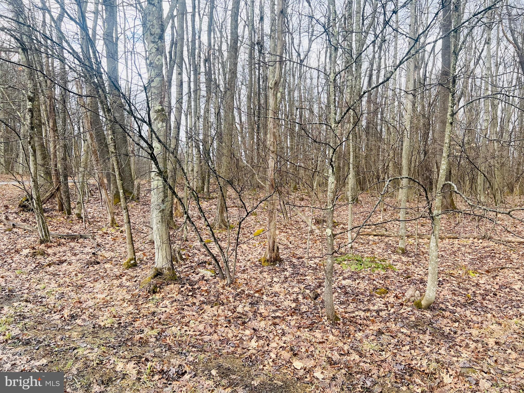 Bethlehem Road Oakland, MD 21550 - Photo 3 of 4