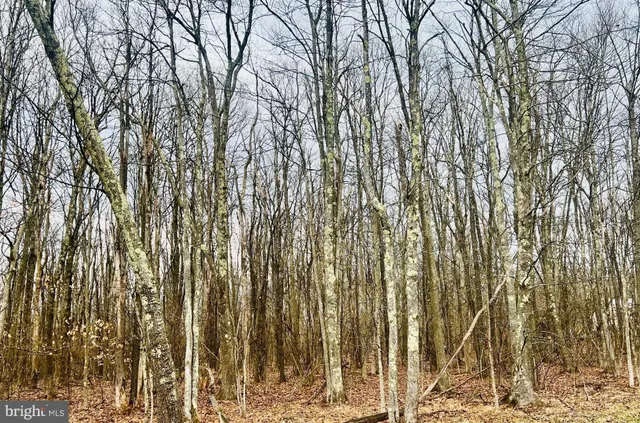 $51,000 | Bethlehem Road, Oakland, MD 21550