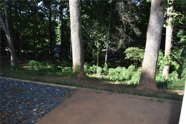 a view of a garden with potted plants