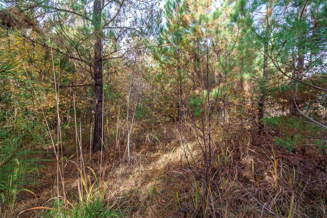 0 Mile Creek Road Six Mile, SC 29682 - Photo 24 of 27 Gallery Image 24