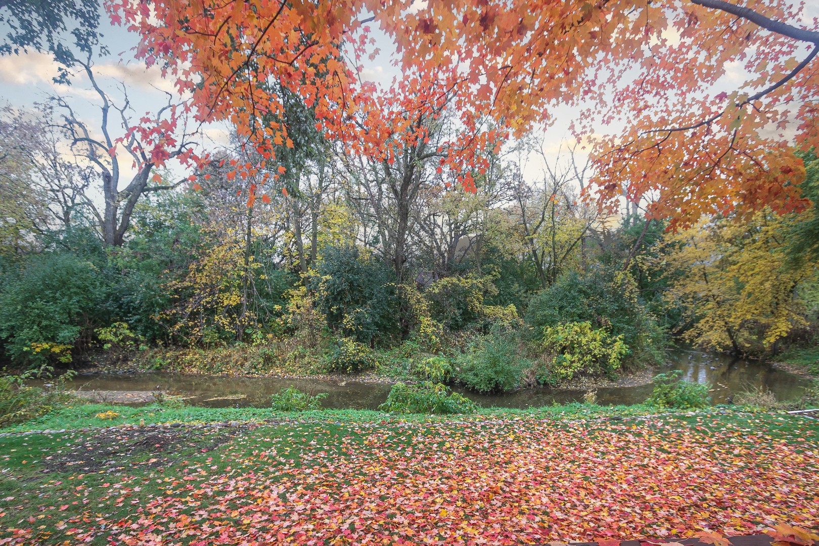 1865 Kevin Avenue Elgin, IL 60123 - Photo 46 of 48 a backyard of a house with lots of green space