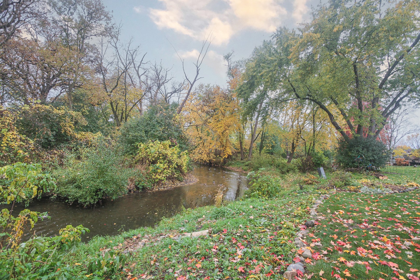 1865 Kevin Avenue Elgin, IL 60123 - Photo 6 of 48 a view of a lake with large trees