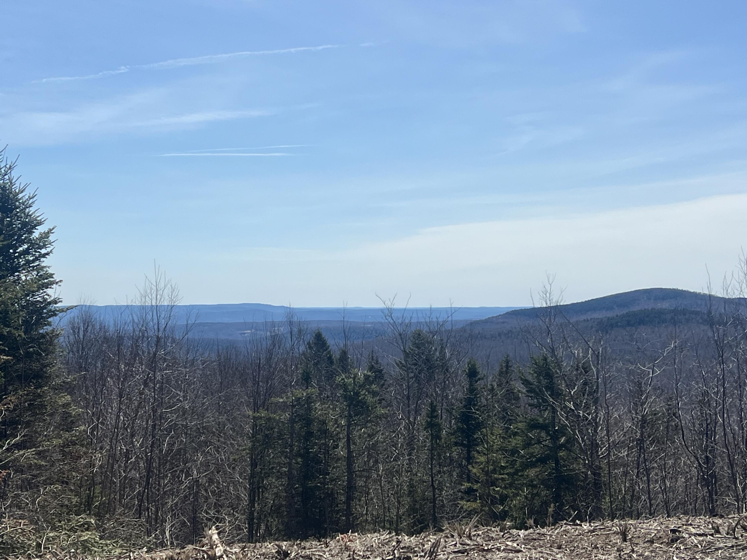 13 Moose Alley Road Wilton, ME 04294 - Photo 2 of 9