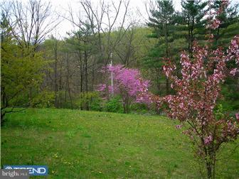 61 Witman Road Womelsdorf, PA 19567 - Photo 12 of 12 View