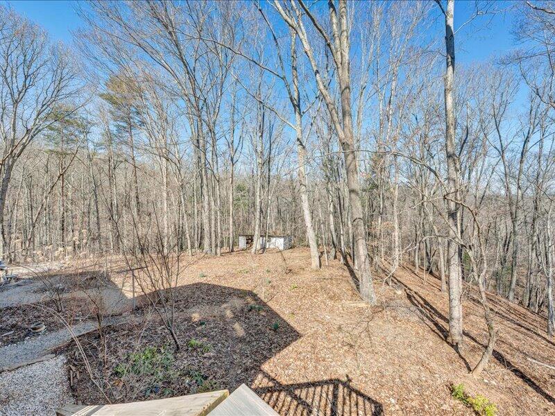 681 Ellis Road Hardy, VA 24101 - Photo 41 of 57 39-MIB06356