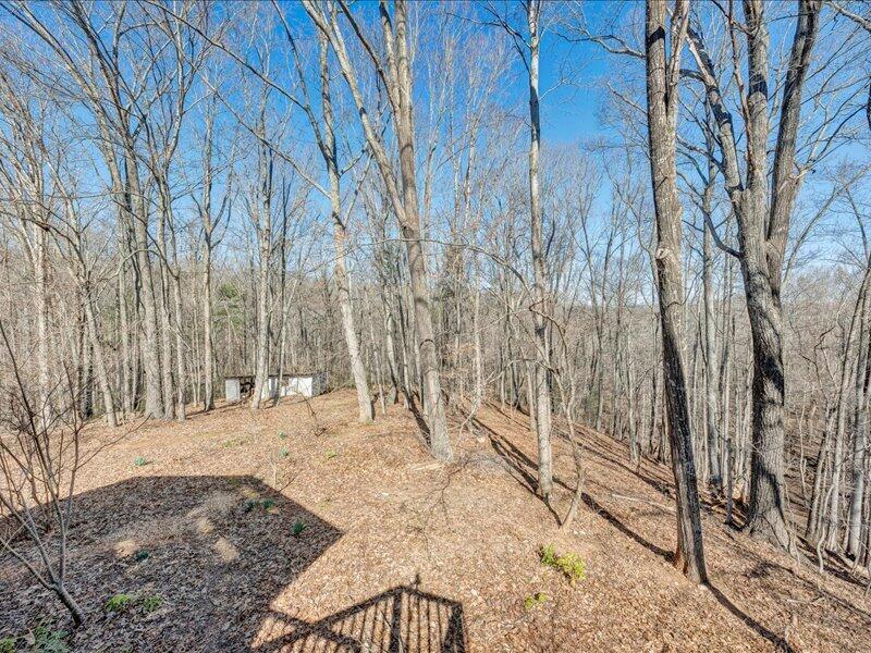 681 Ellis Road Hardy, VA 24101 - Photo 42 of 57 40-MIB06359