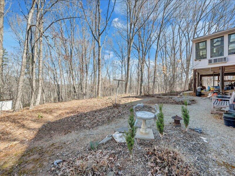 681 Ellis Road Hardy, VA 24101 - Photo 44 of 57 42-MIB06365