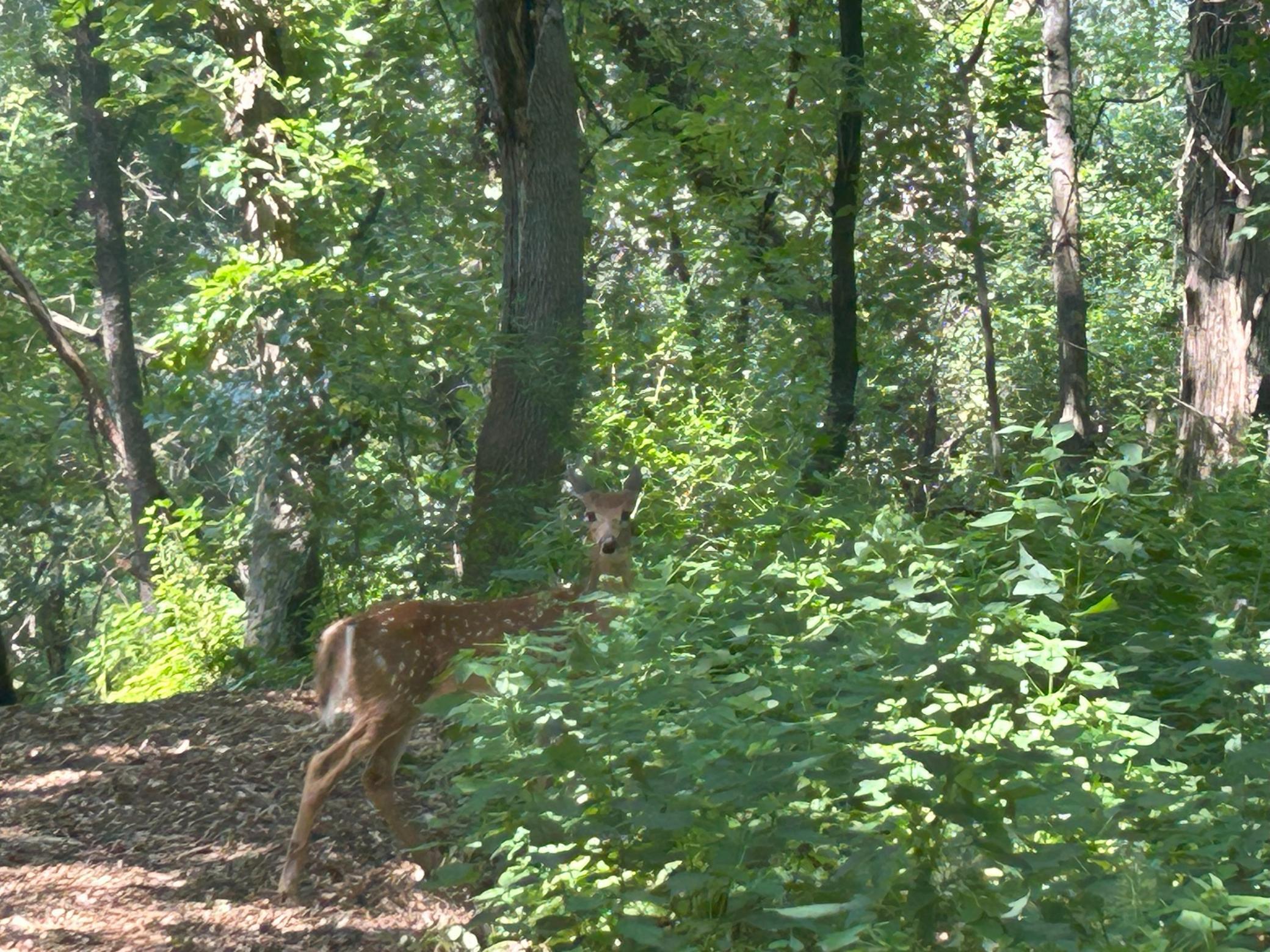 1601 North Innsbruck Drive, Unit 329 Fridley, MN 55432 - Photo 39 of 41