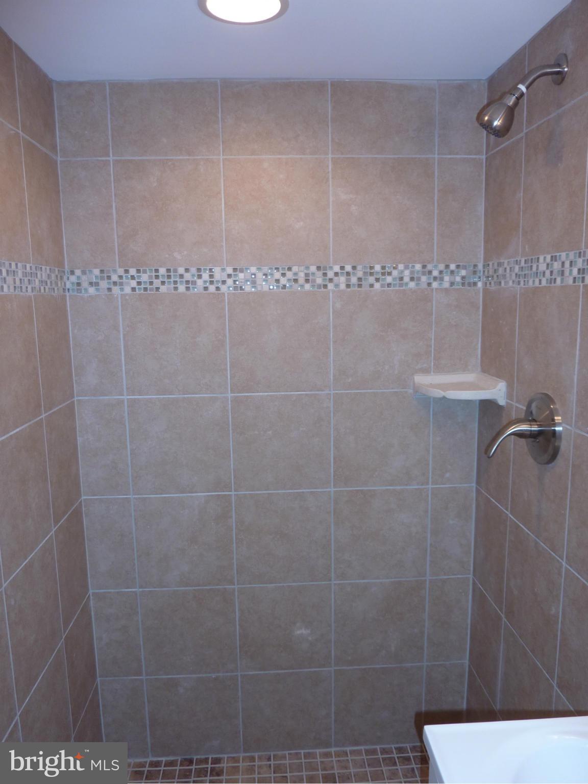 1610 Mussula Road Baltimore, MD 21286 - Photo 12 of 13 Bath