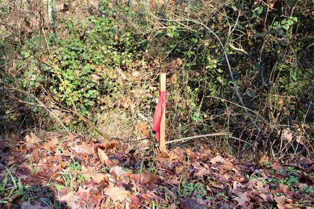 Lot 7 Southwest Holloway Road Cleveland, TN 37311 - Photo 2 of 20 20187366-1