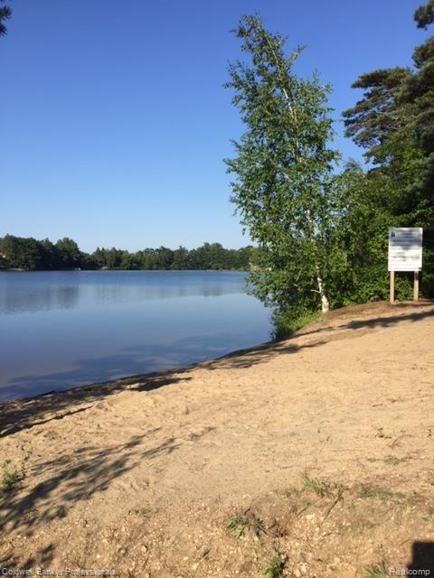 0 Cayuga Road Lake Orion, MI 48362 - Photo 7 of 14