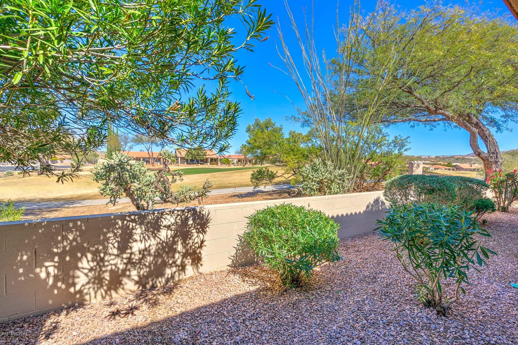 64300 East Wind Ridge Circle Tucson, AZ 85739 - Photo 20 of 24