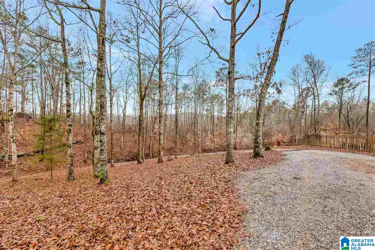 89 Walden Road Columbiana, AL 35051 - Photo 36 of 41