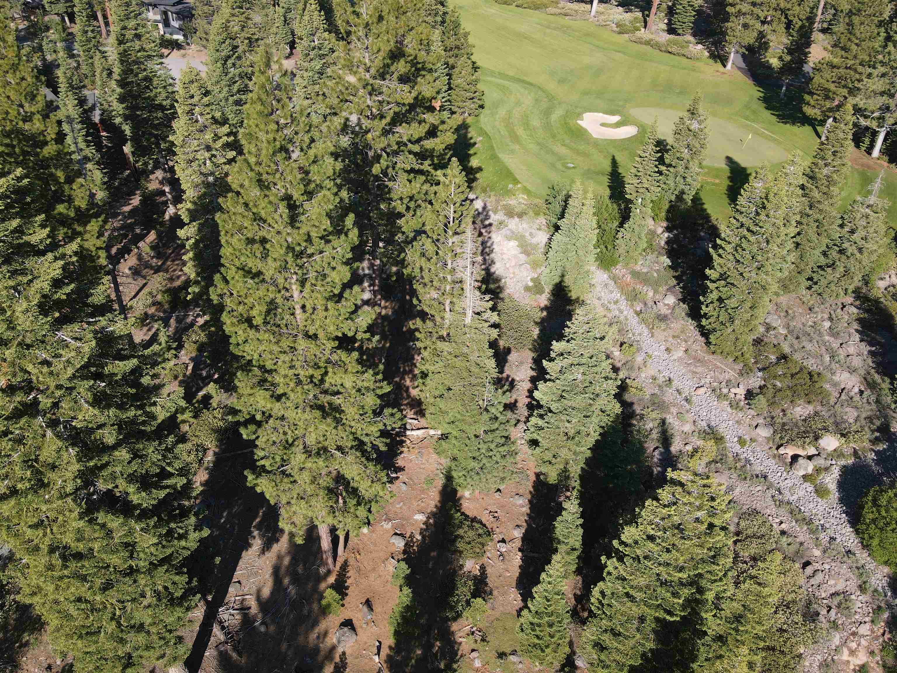 9321 Nine Bark Road Truckee, CA 96161 - Photo 9 of 21