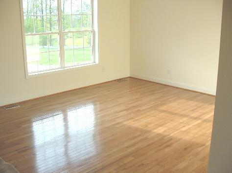 3802 Morgans Mill Road Goodview, VA 24095 - Photo 5 of 6 an empty room with wooden floor and windows